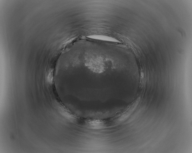 X0000112930383200909071039