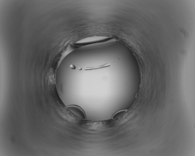 X0000112930384200909071039