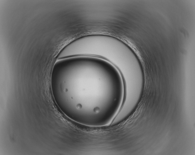 X0000112930385200909071038