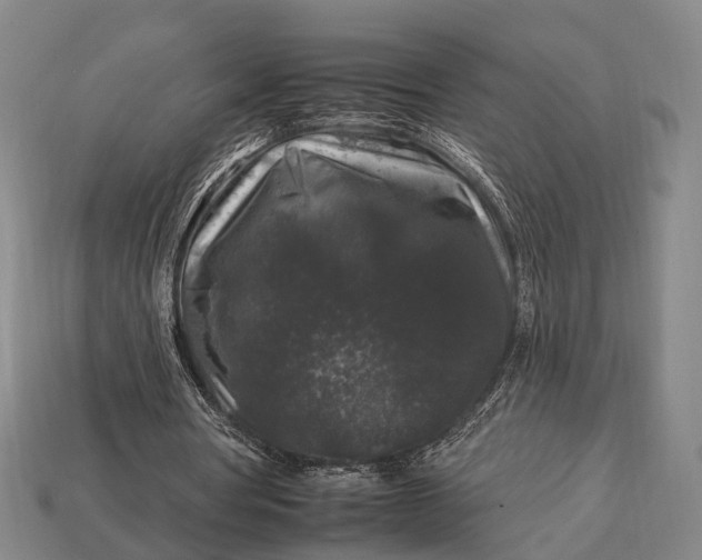 X0000112930386200909071038