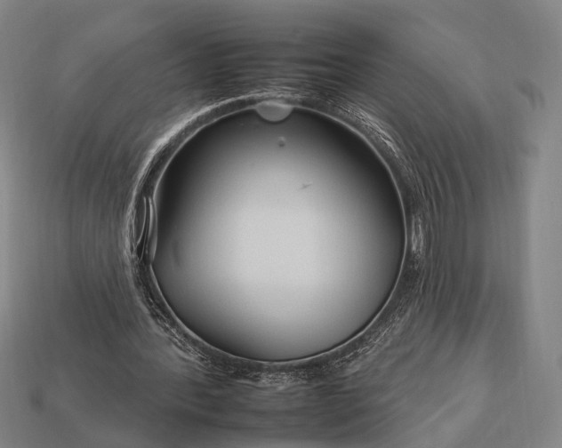 X0000112930388200909071038