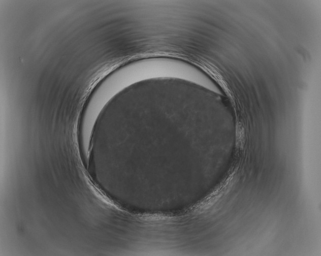 X0000112930389200909071038