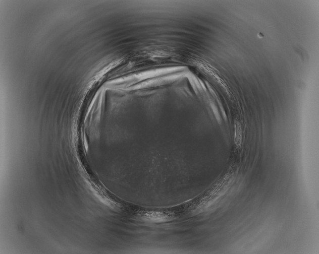 X0000112930390200909071038