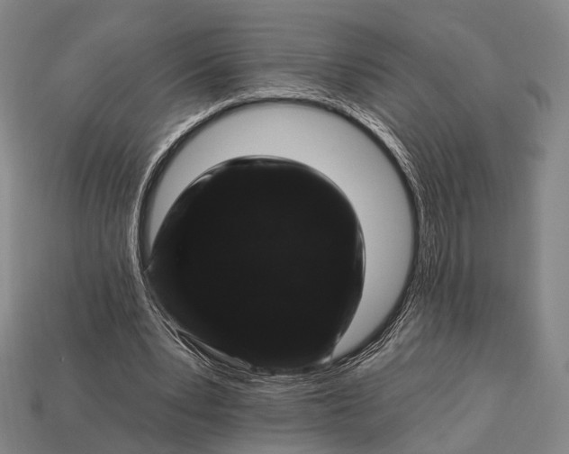 X0000112930391200909071038