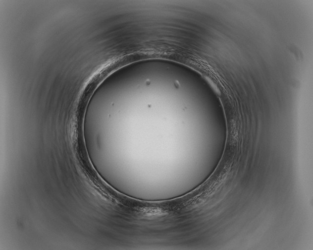 X0000112930392200909071038