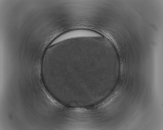 X0000112930393200909071038