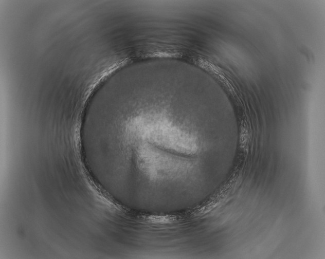 X0000112930394200909071038