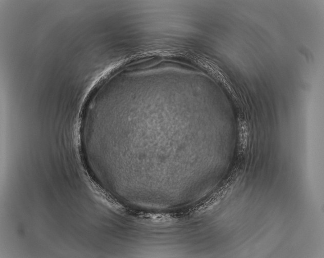 X0000112930395200909071038