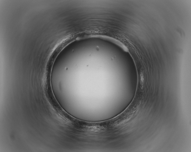 X0000112930396200909071038