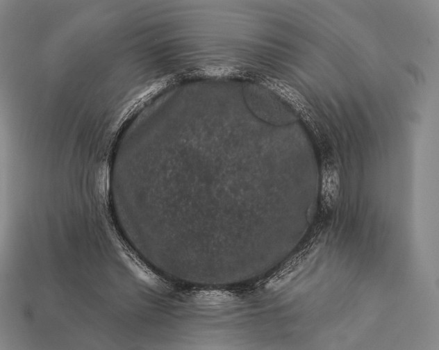 X0000112930397200909071038