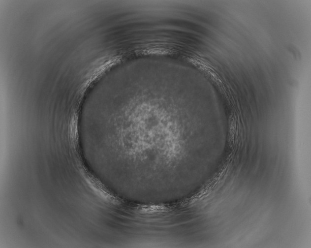 X0000112930398200909071038