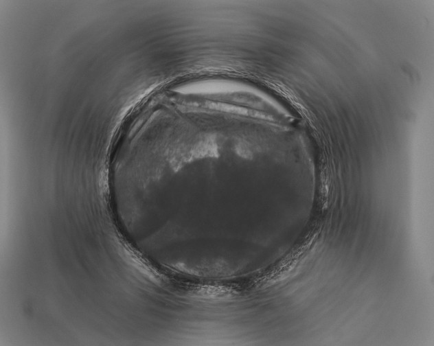 X0000112930399200909071038