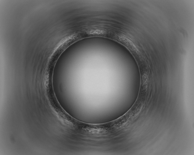 X0000112930400200909071038