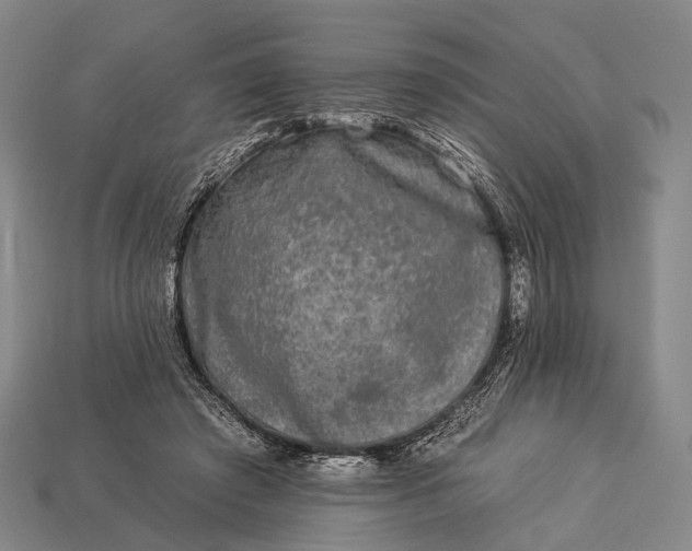 X0000112930401200909071038