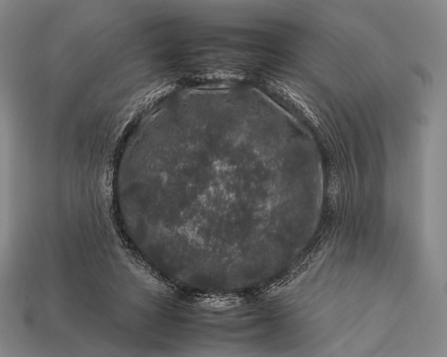 X0000112930402200909071038