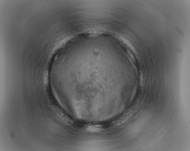 X0000112930403200909071038