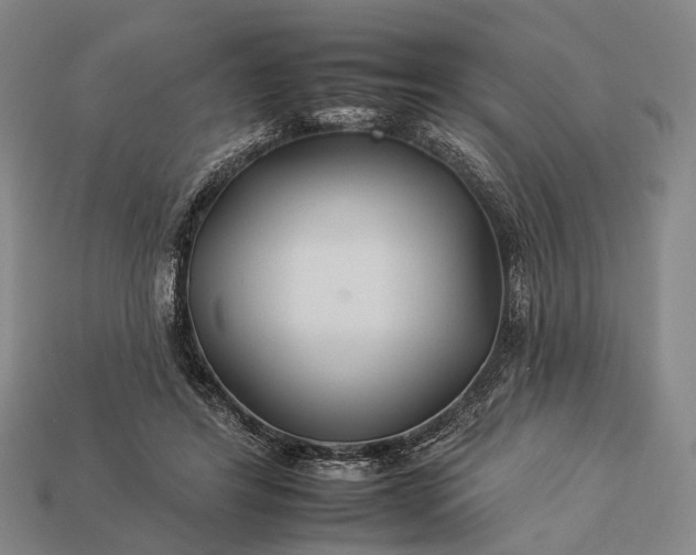 X0000112930404200909071038