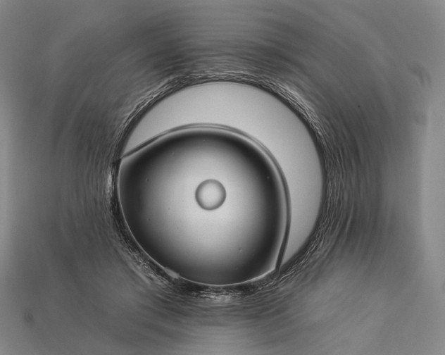 X0000112930405200909071038