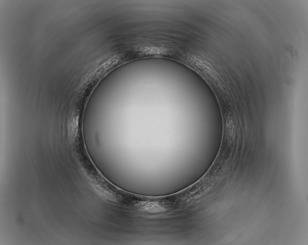 X0000112930406200909071038