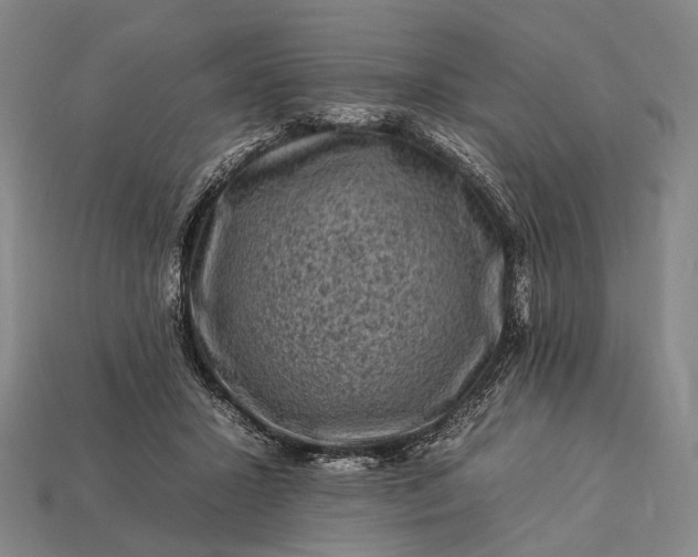 X0000112930407200909071038