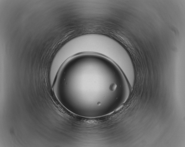 X0000112930409200909071038