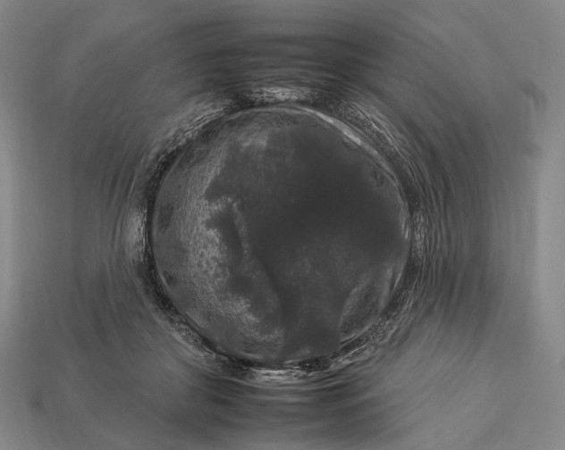 X0000112930410200909071038