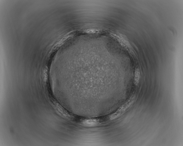 X0000112930413200909071038