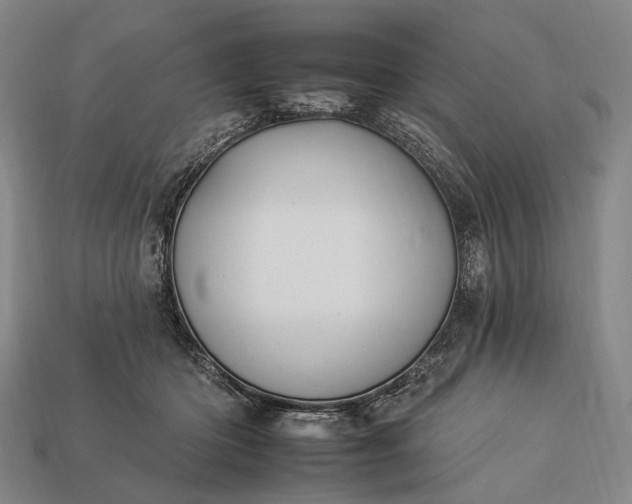 X0000112930414200909071038