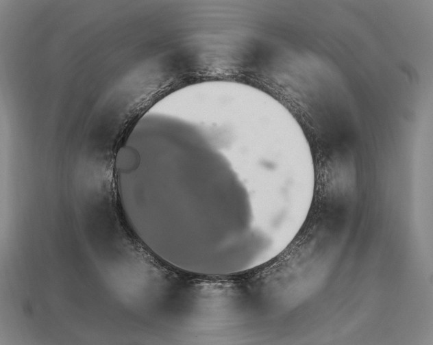 X0000112930415200909071038