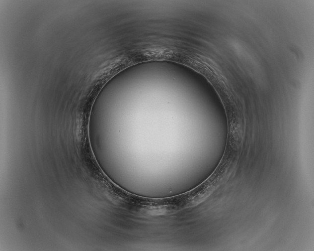 X0000112930416200909071038