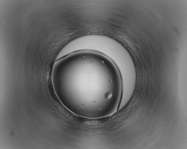 X0000112930417200909071037