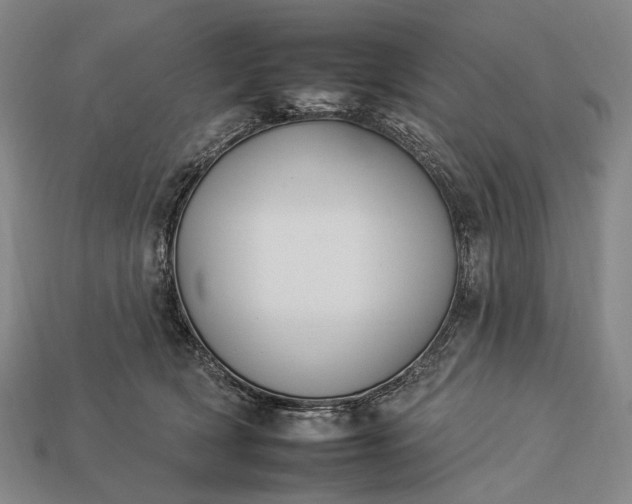 X0000112930418200909071037