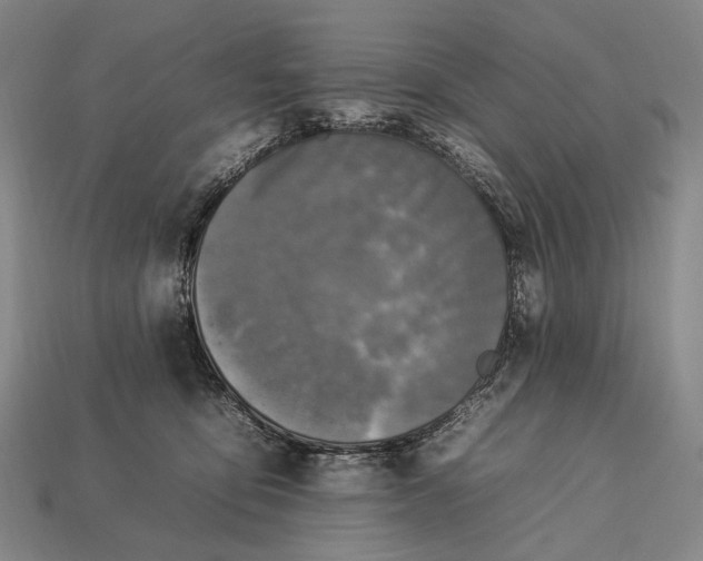 X0000112930419200909071037