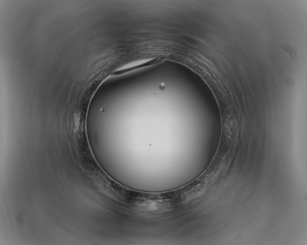 X0000112930420200909071037