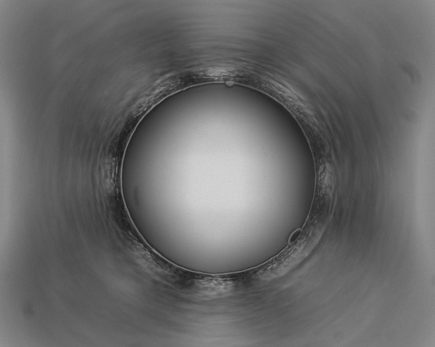 X0000112930421200909071037