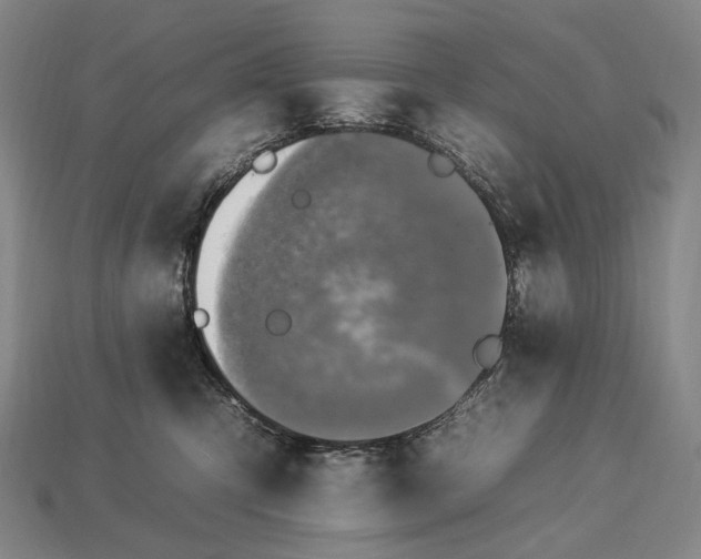 X0000112930423200909071037