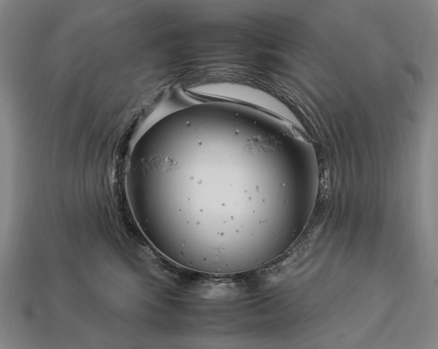 X0000112930424200909071037