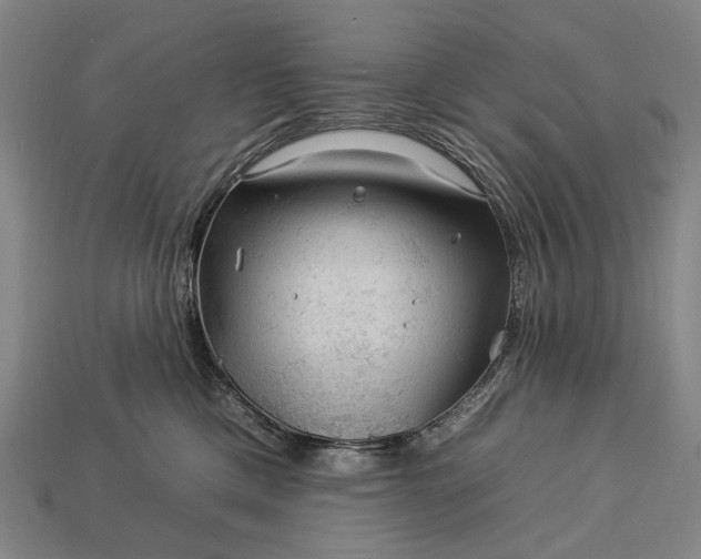 X0000112930425200909071037