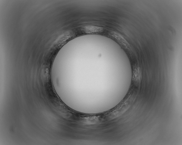 X0000112930426200909071037