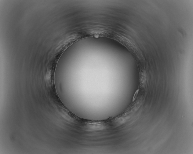 X0000112930428200909071037