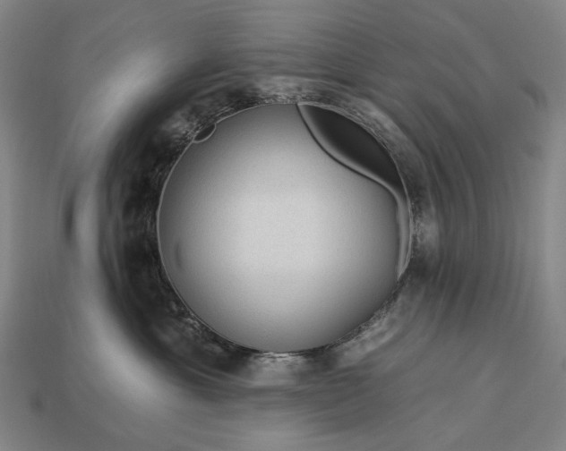 X0000112930429200909071037