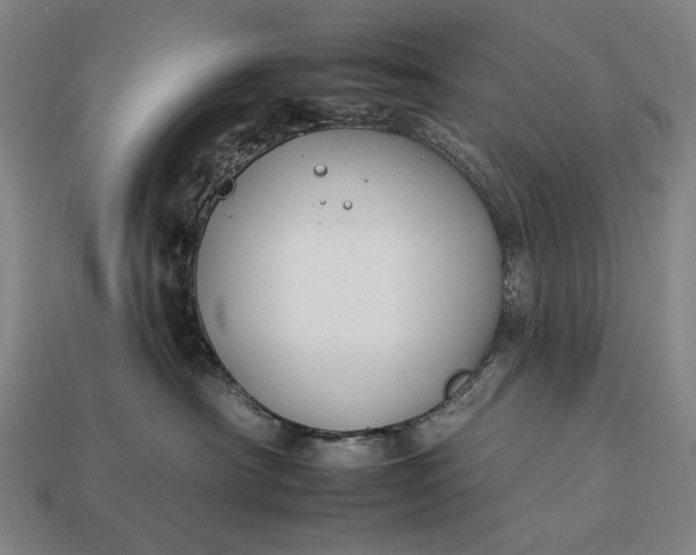 X0000112930430200909071037