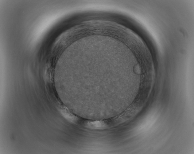 X0000112930431200909071037