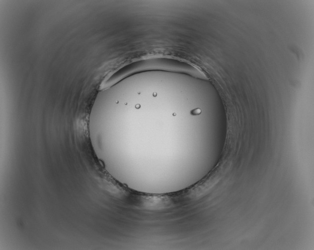 X0000112930432200909071037