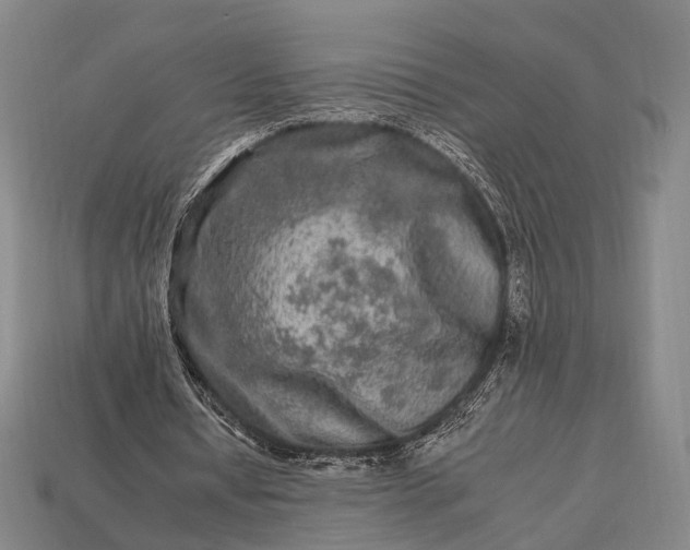 X0000112930434200909071036