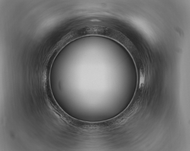 X0000112930435200909071036