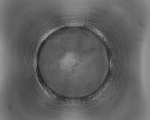 X0000112930436200909071036