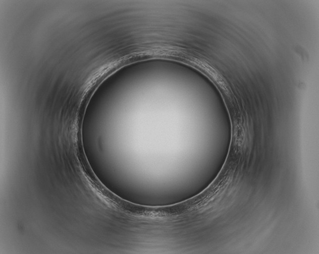 X0000112930437200909071036