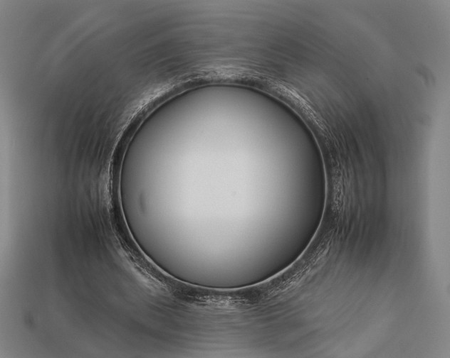 X0000112930439200909071036