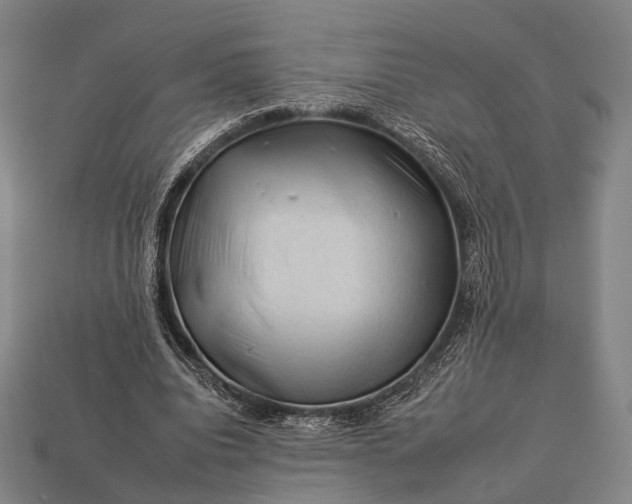 X0000112930440200909071036